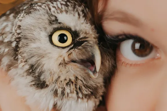 Kazino AllStar Slots Atbalsts